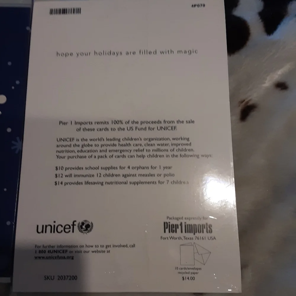 Set of 2 pier 1 Imports Christmas Cards